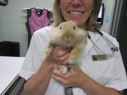 Dr. Fisher with a Lionhead rabbit